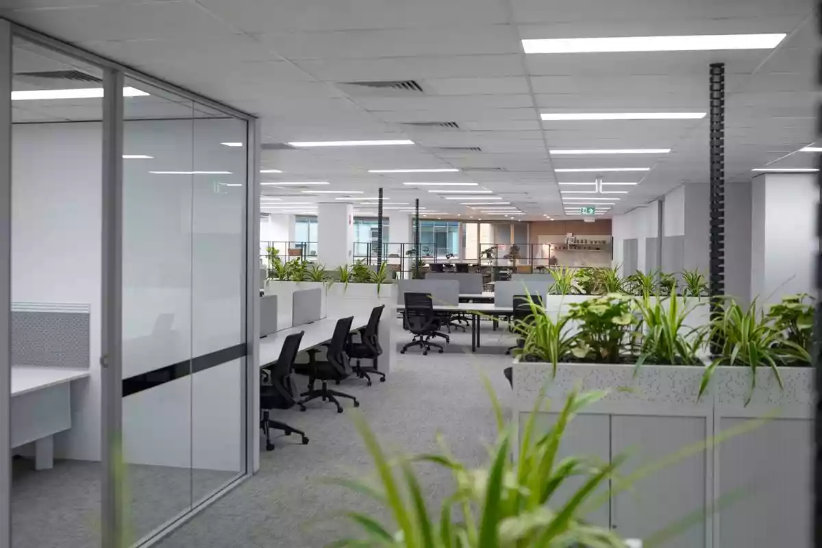 251 St Georges Terrace