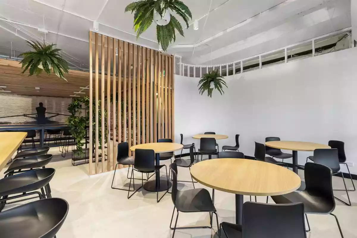 299 Coronation Drive