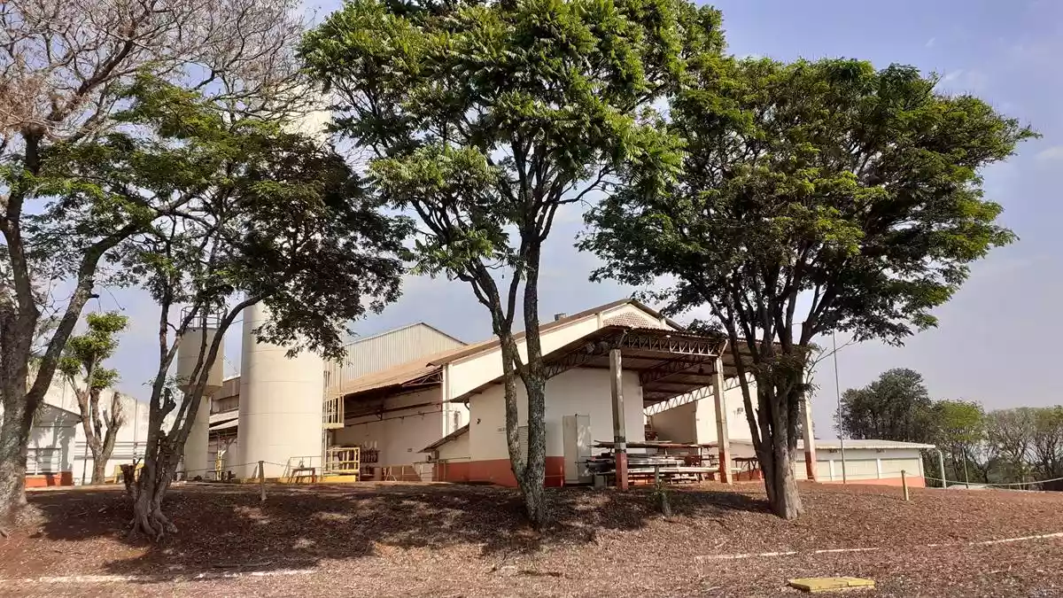 Andira - Warehouse/Distribution