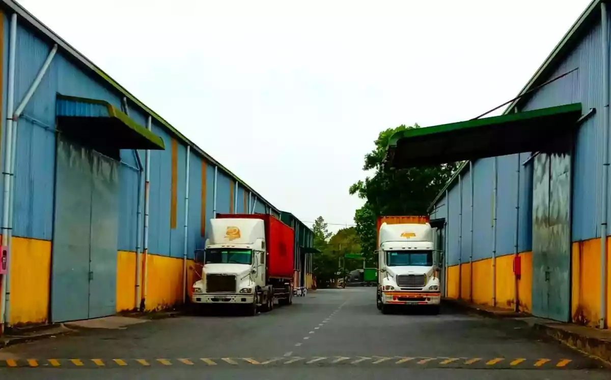 Ready-built Warehouse for Lease in Bien Hoa, Dong Nai Province, Vietnam