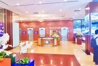 CEO Tower Pham Hung
