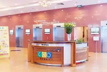 CEO Tower Pham Hung