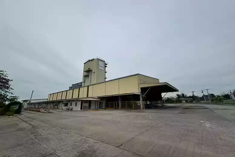 Agro-Industrial Property in Pangasinan