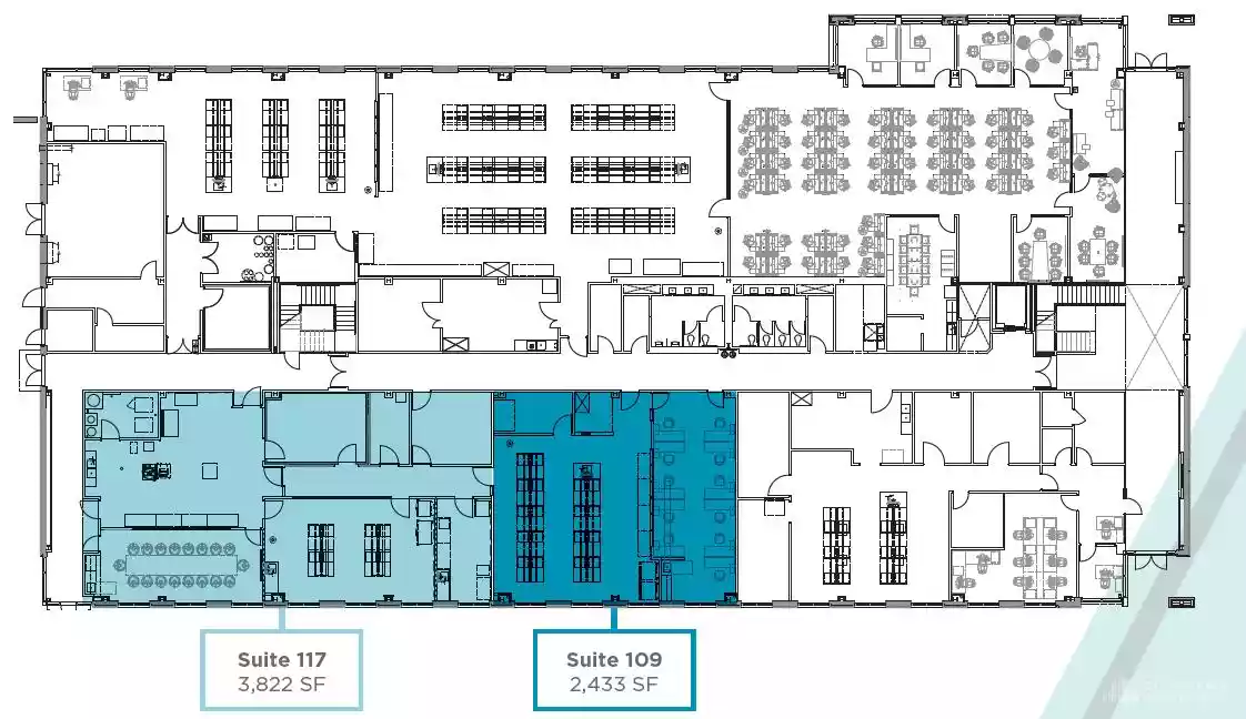 Raleigh - Life Sciences