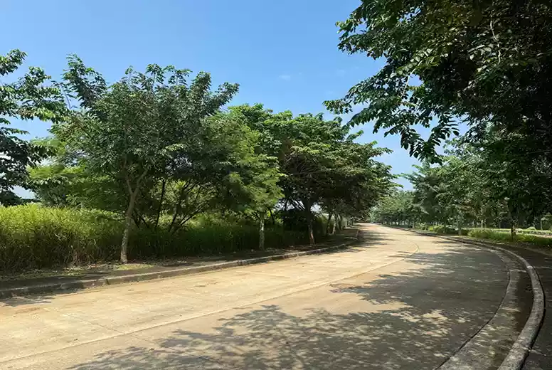 Industrial Lot For Sale in Cavite