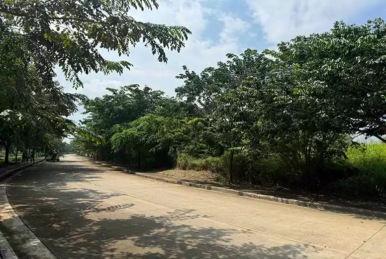 Industrial Lot For Sale in Cavite