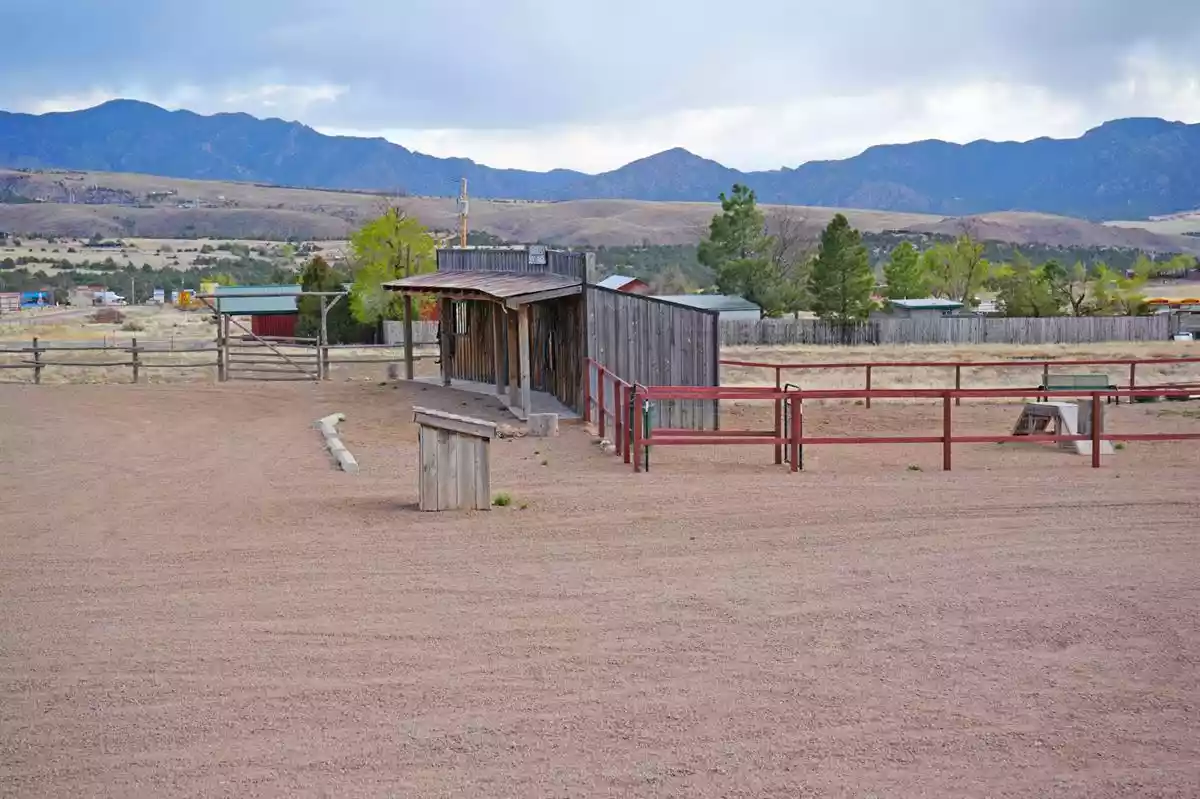 Dog park