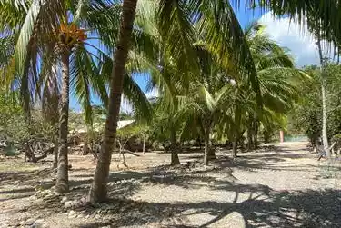 Beachfront Property in Puerto Princesa Palawan