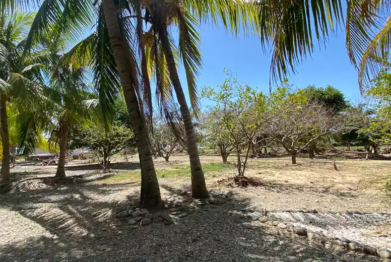 Beachfront Property in Puerto Princesa Palawan