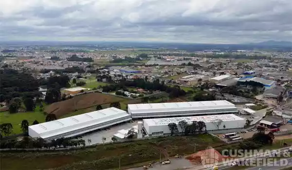 Golgi Curitiba