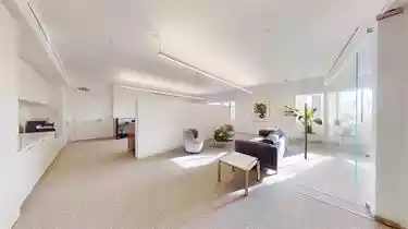 Larkspur - Office