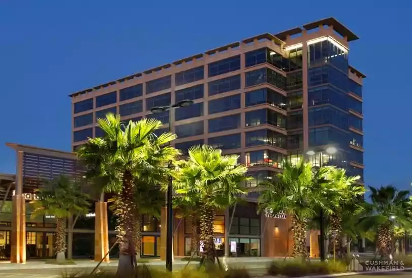 Tampa - Office