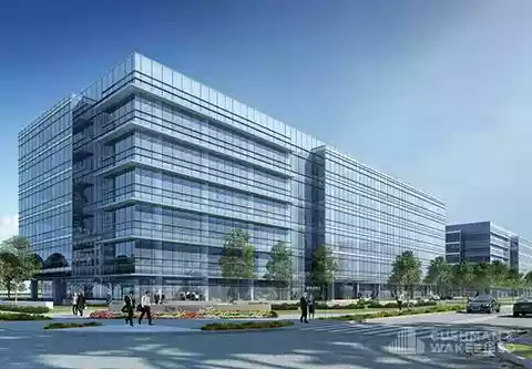 Frisco - Office
