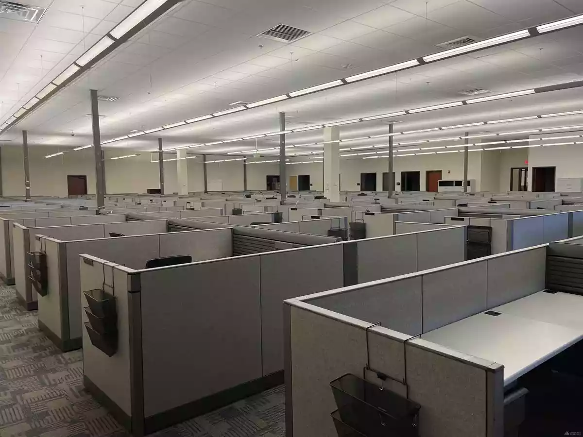 Wilson - Office