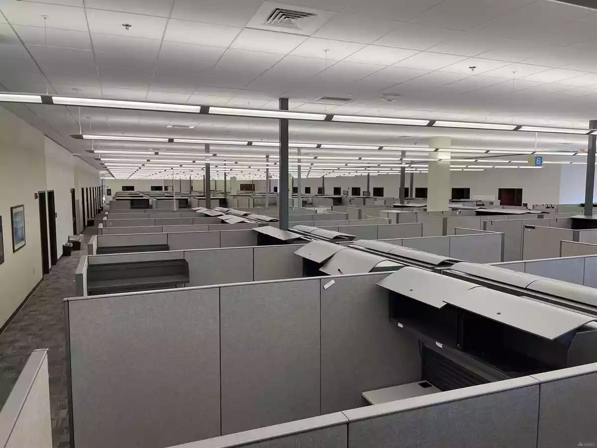 Wilson - Office