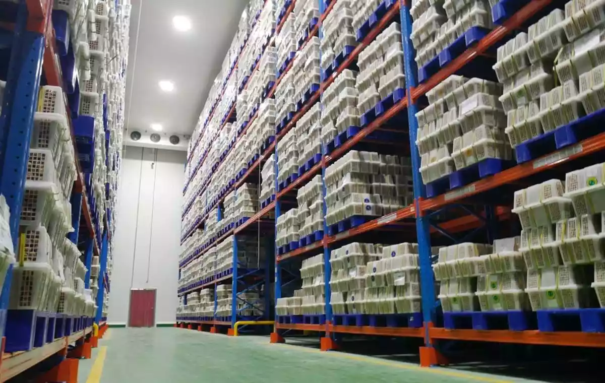 SP Logistics Hub Pluit