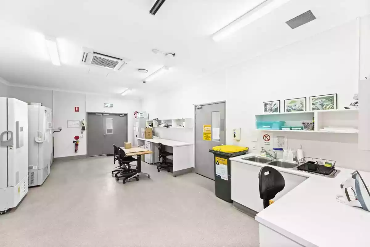 212 McDougall Street