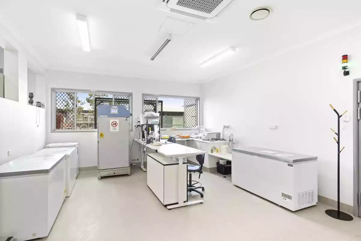 212 McDougall Street