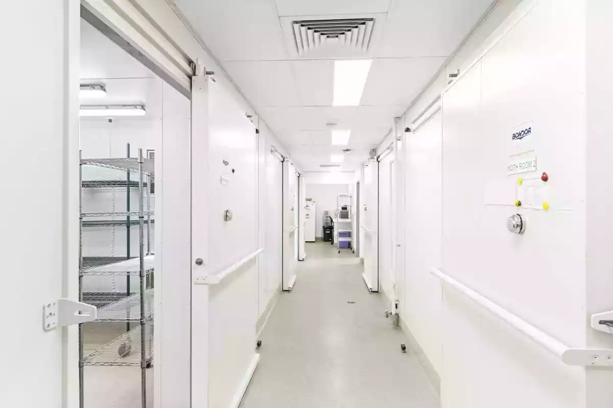 212 McDougall Street