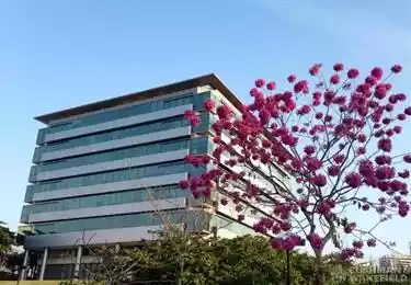 Rio de Janeiro - Office