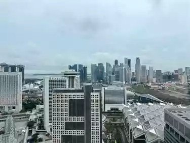View - CBD