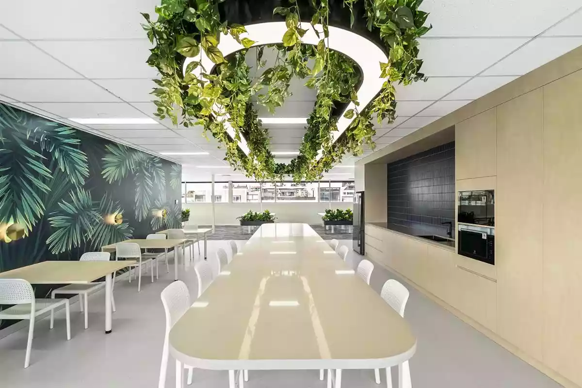 4 - 12 Amsterdam Street