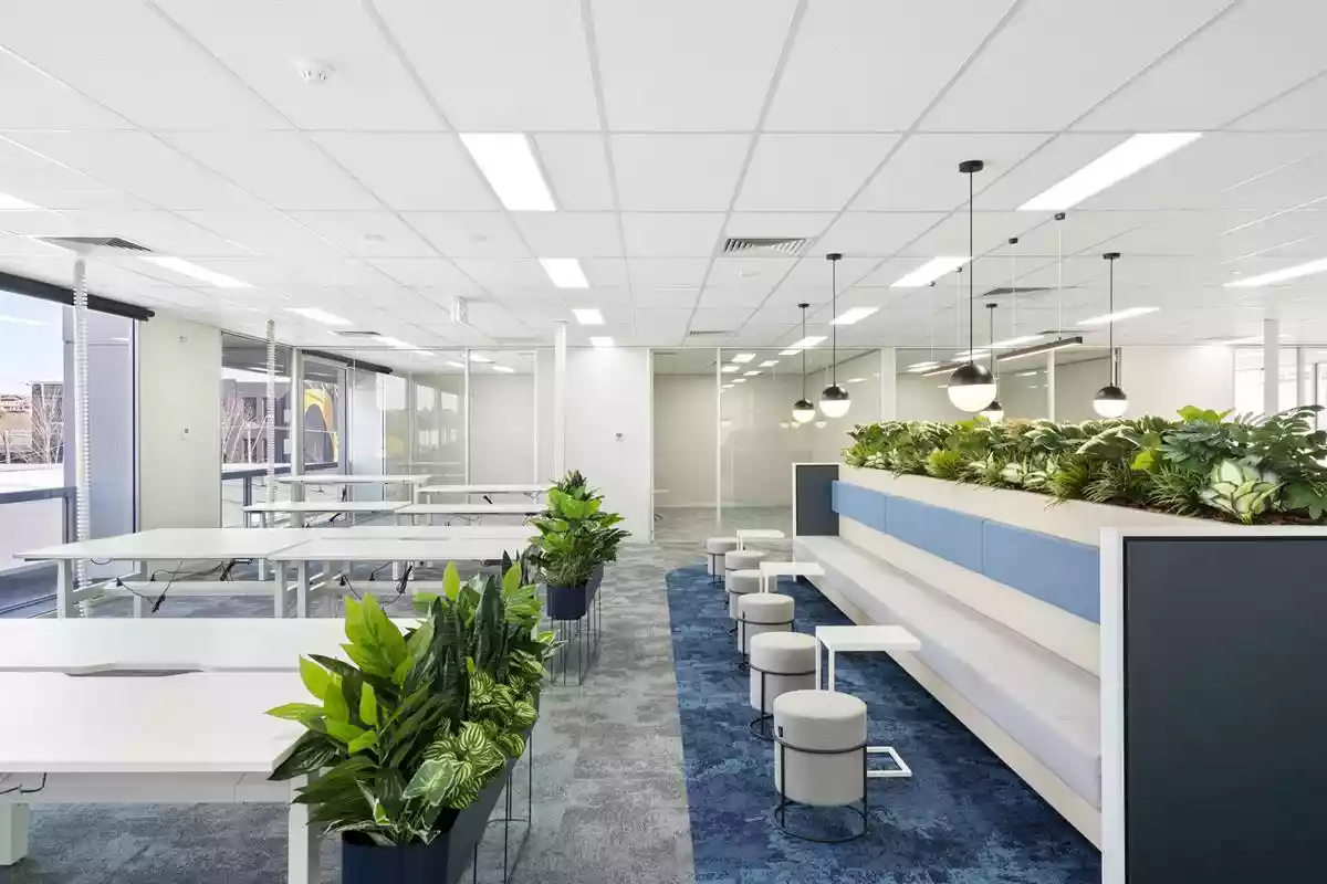 4-12 Amsterdam Street