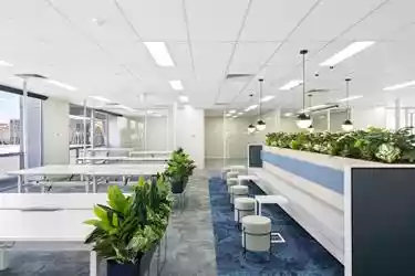 4 - 12 Amsterdam Street