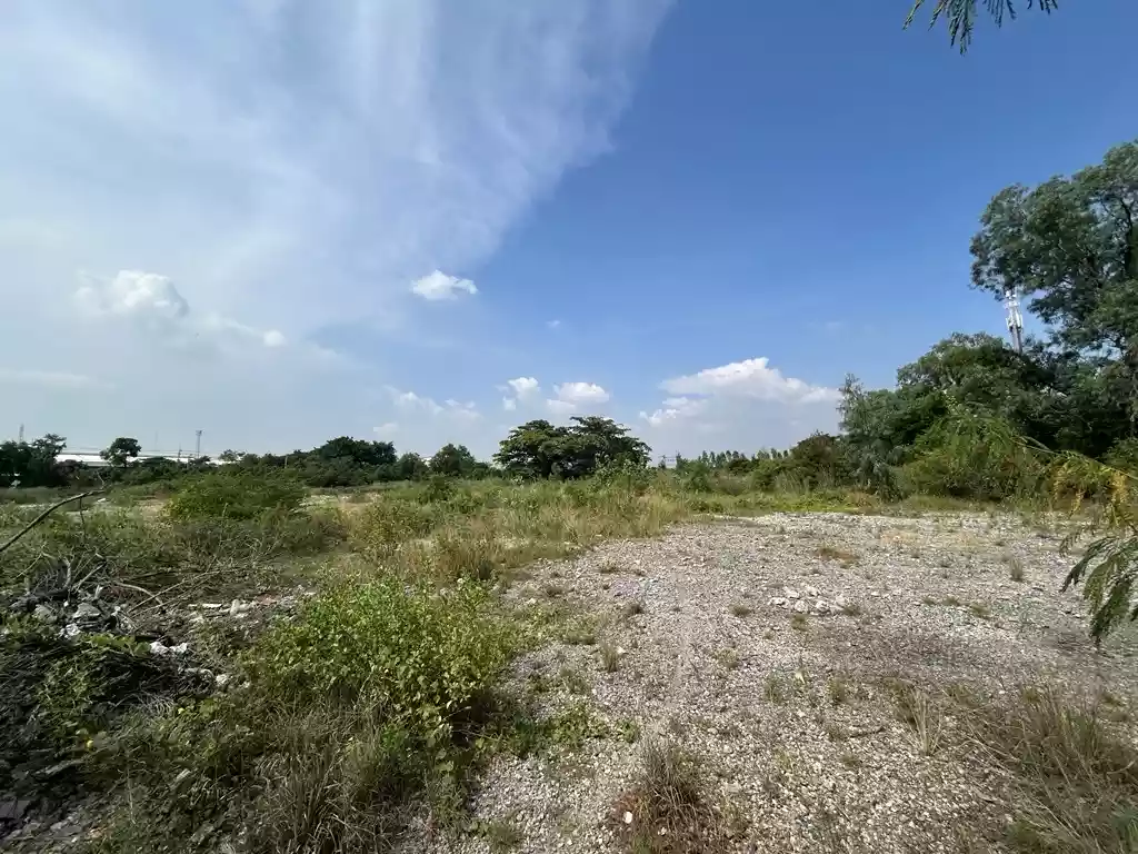 Industrial Land for Sale Near Laem Chabang