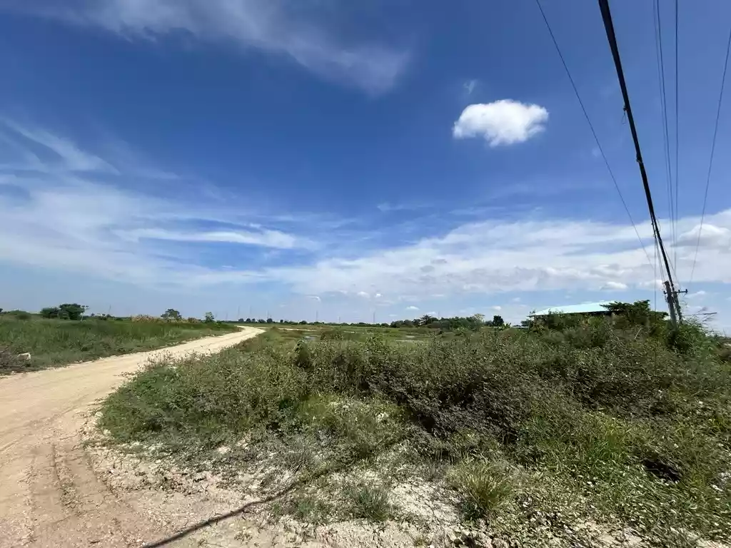 Industrial Land 80,000-160,000 sqm. for Sale Near Laem Chabang