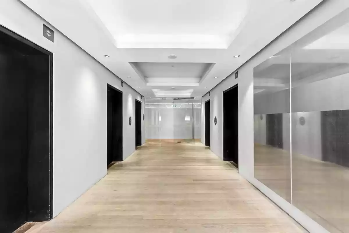 Level 10/95 Pitt Street