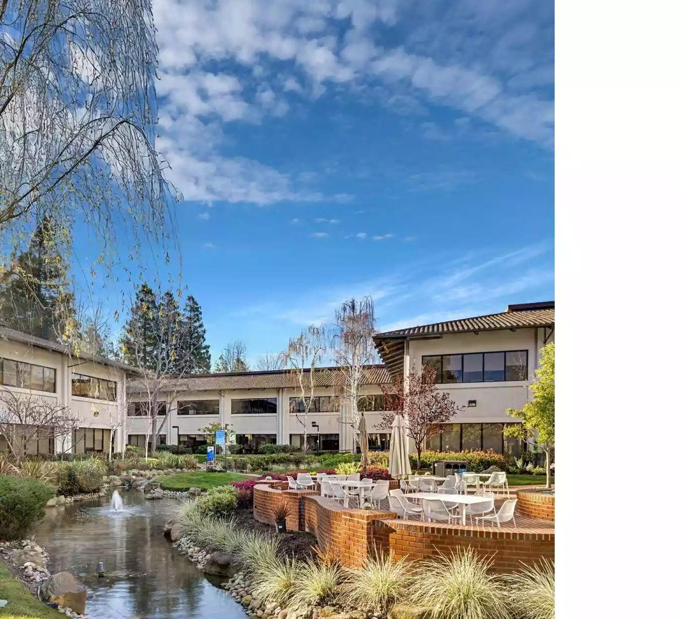 Mountain View - High Technology