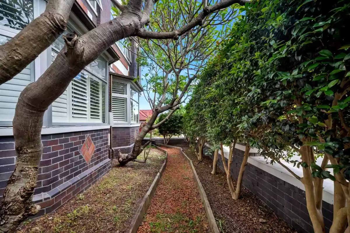 229-231 Avoca Street