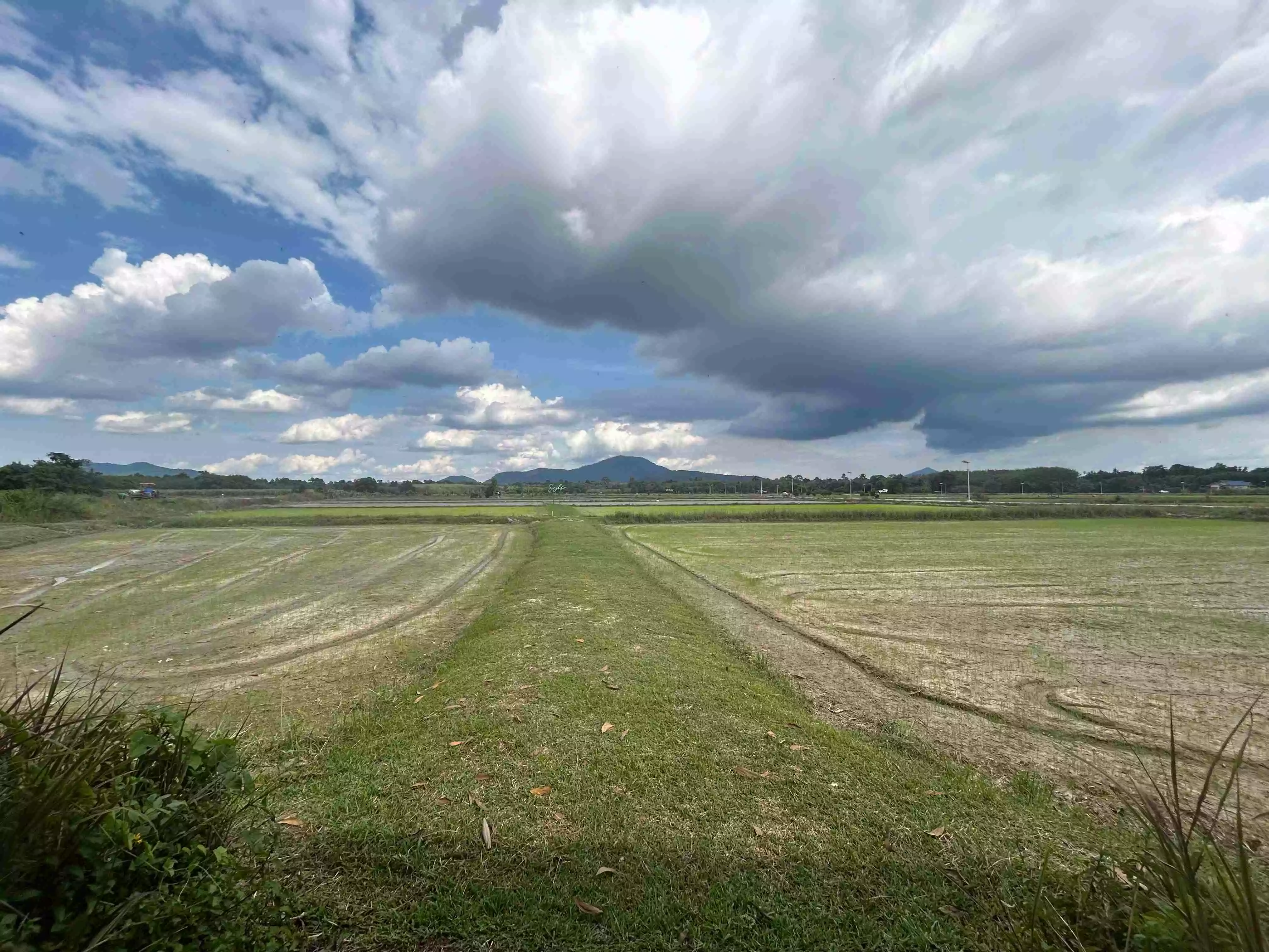 Industrial Land for Sale 36 Rai at Siracha Purple Zone