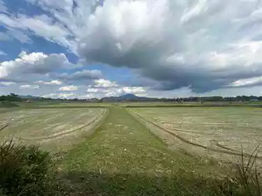 Industrial Land for Sale 36 Rai at Siracha Purple Zone