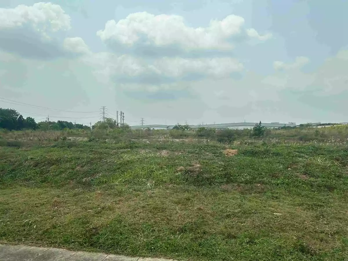 Industrial Land for Sale 131 Rai at Siracha Purple Zone