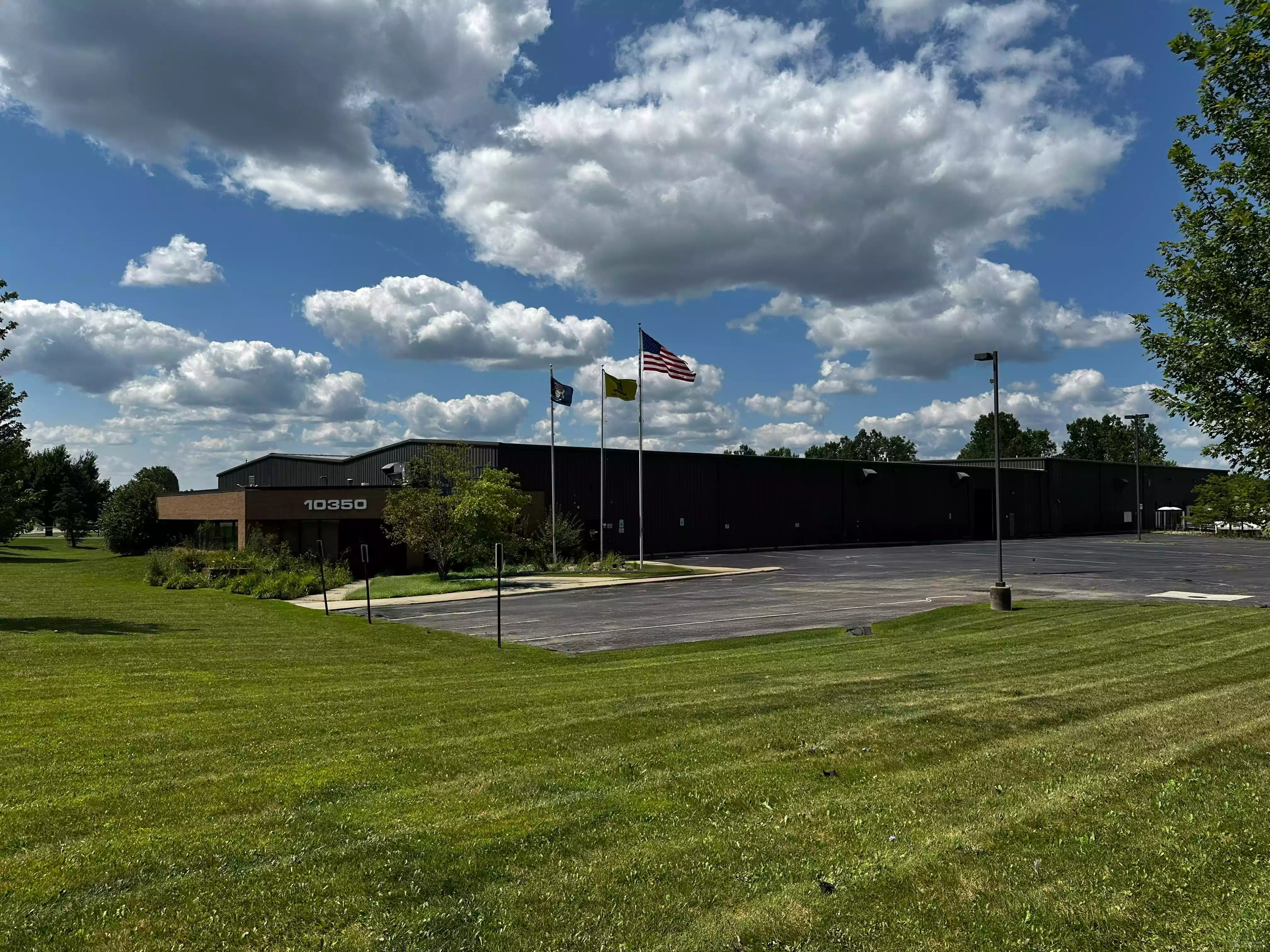 Holly - Manufacturing