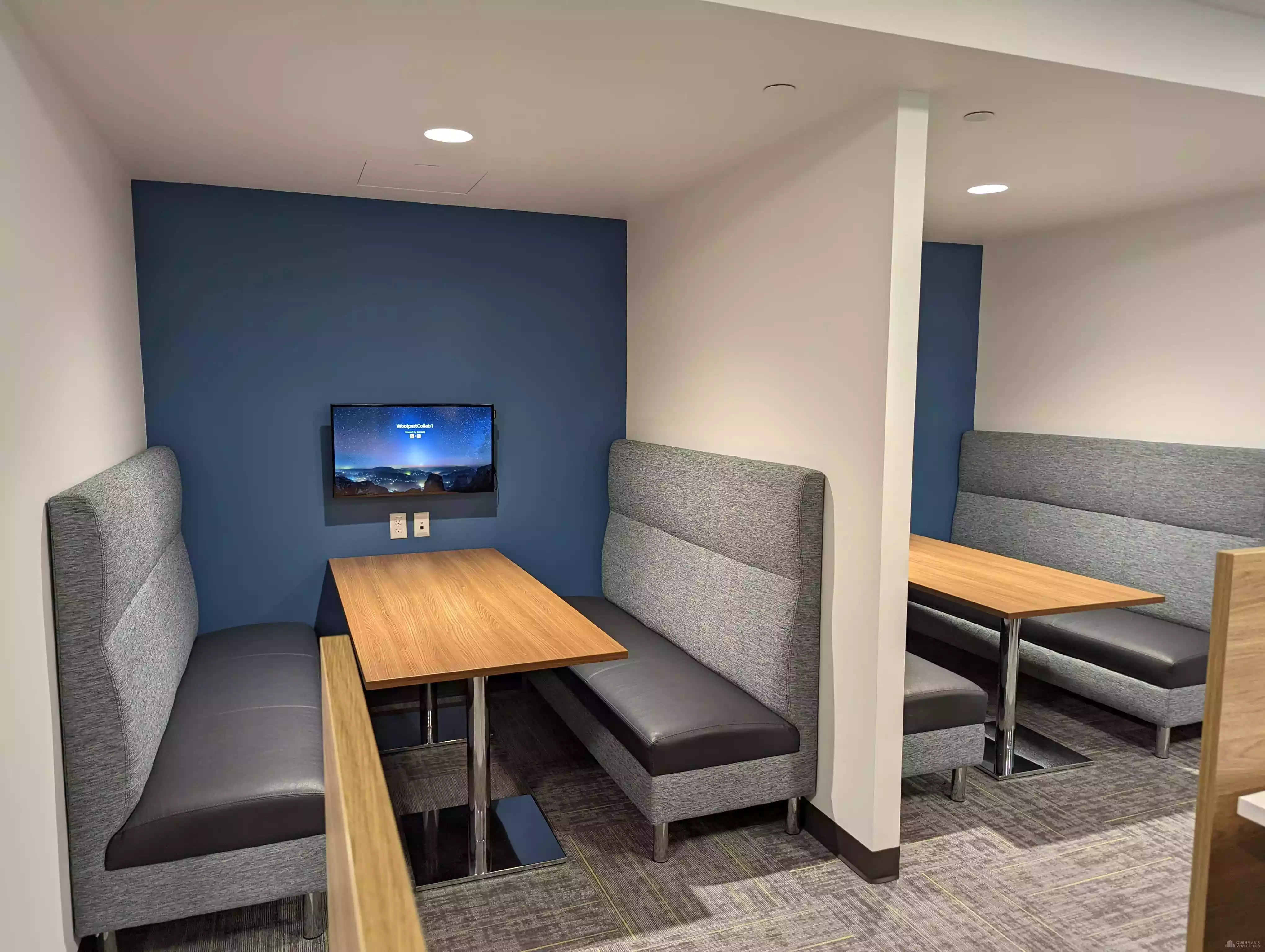 dummy