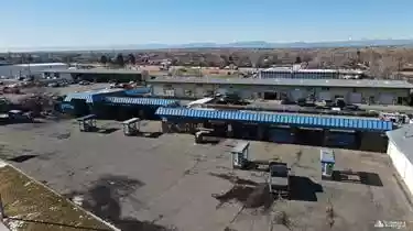 Brighton - Specialty