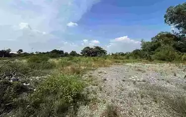 Land