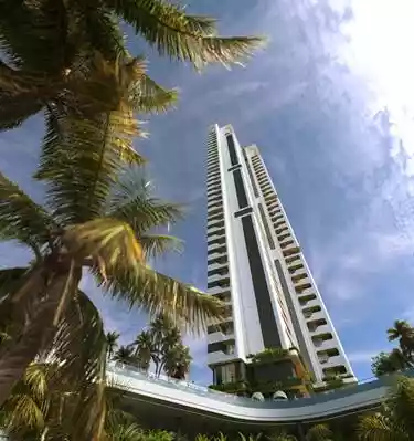 The Falcon By Dalcore2