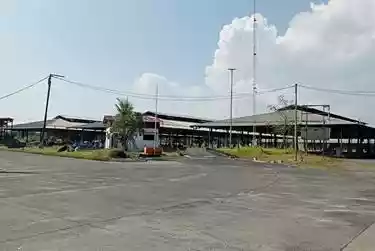 Site Area