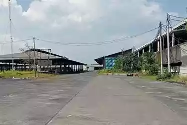 Site Area