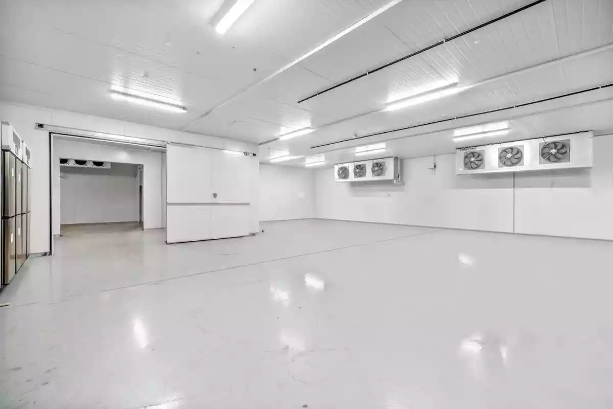 3 Trent Road