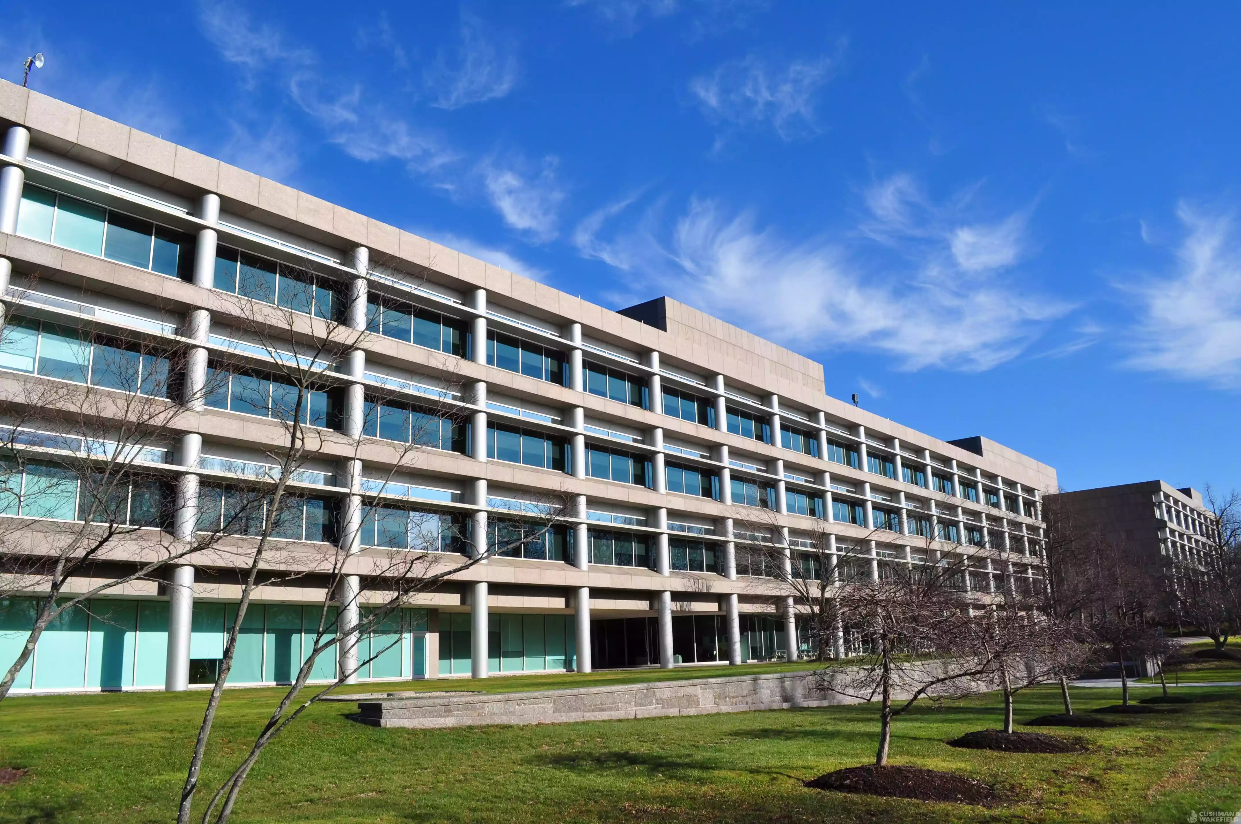 dummy