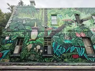Ground/35-37 Bourke St