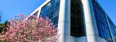 White Plains - Office