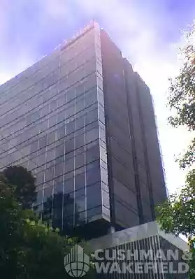 Córdoba 42