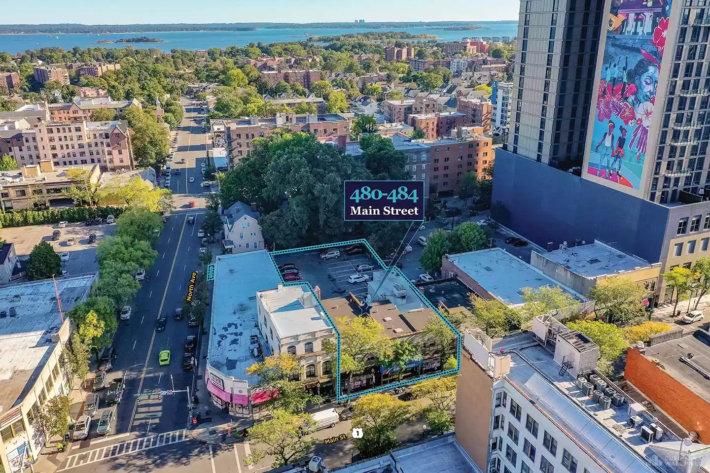 New Rochelle - Office