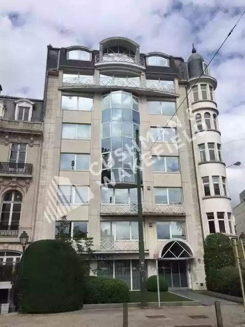 F_PIC1